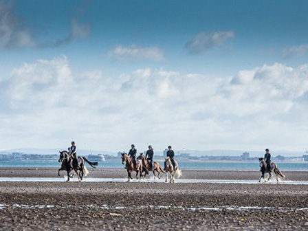 Island Trails and Beach Riding